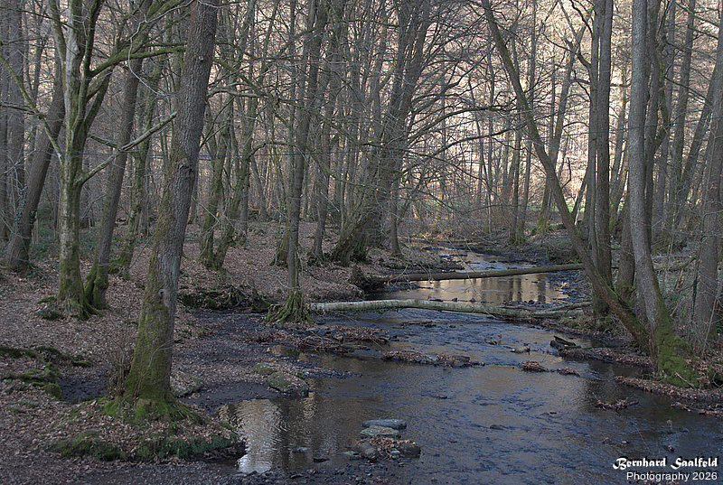 Bernhard Saalfeld - Dhuenn (2v9)